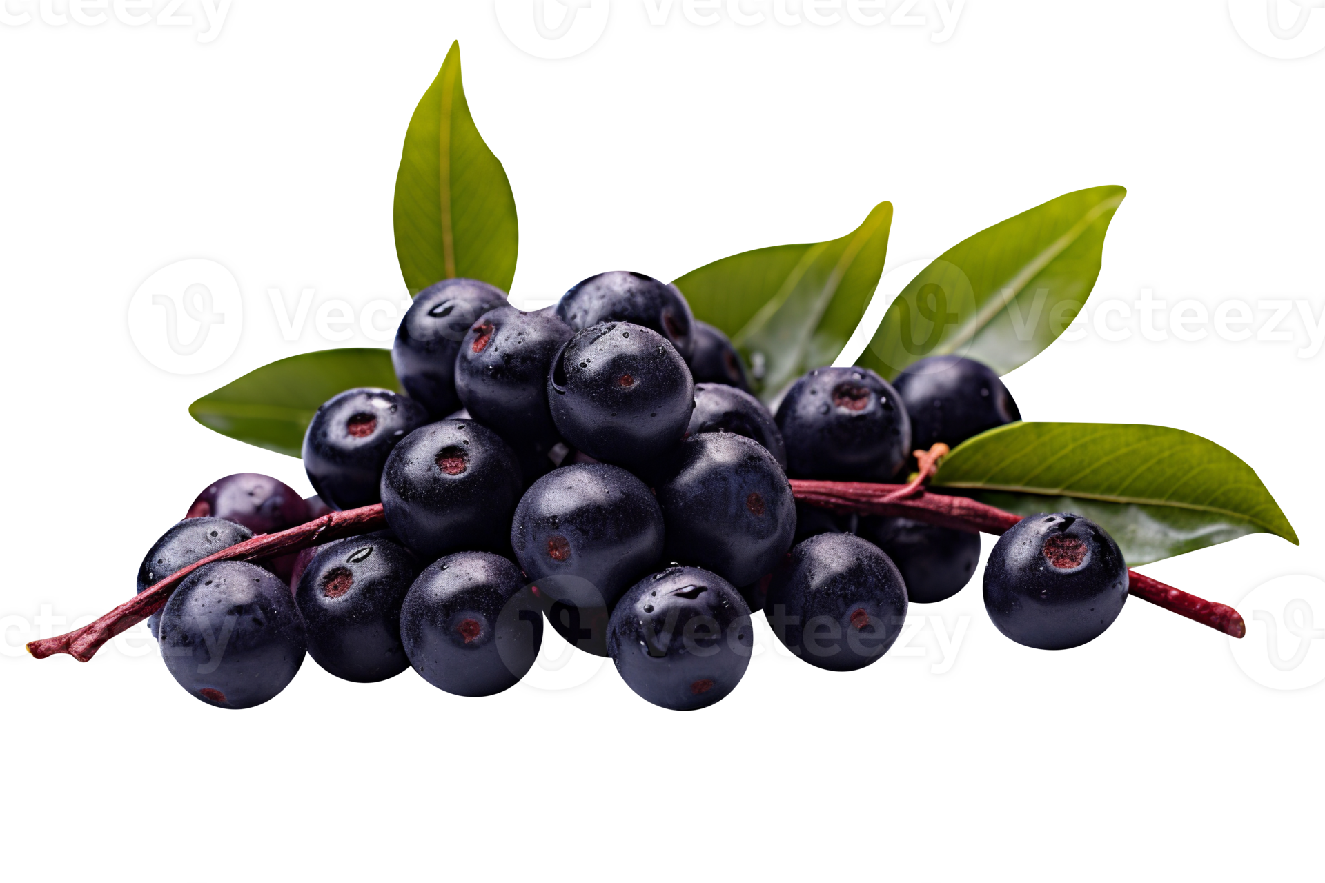 Fresh bunch acai berries isolated on transparent background 27143580 PNG