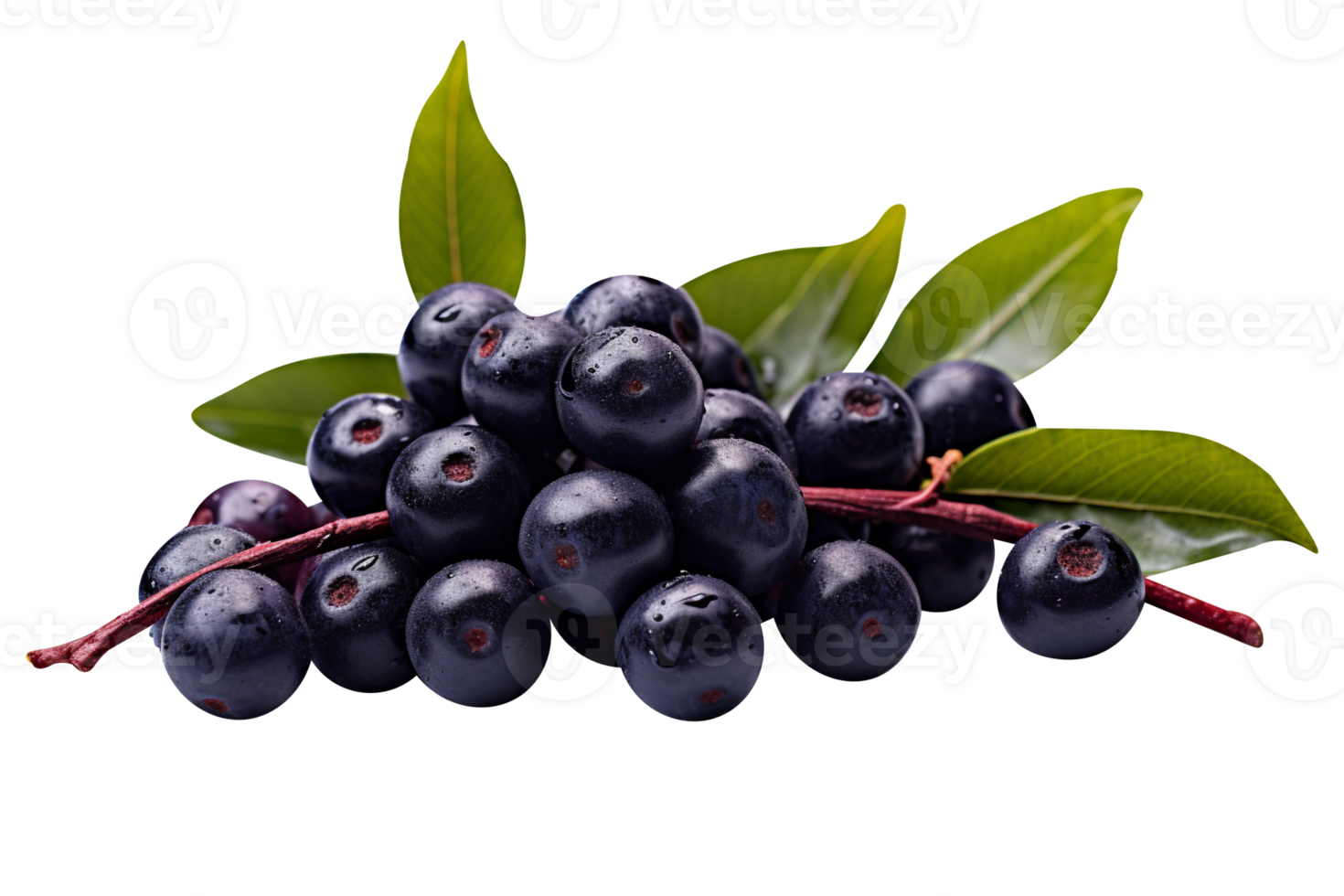 Fresh bunch acai berries isolated on transparent background png