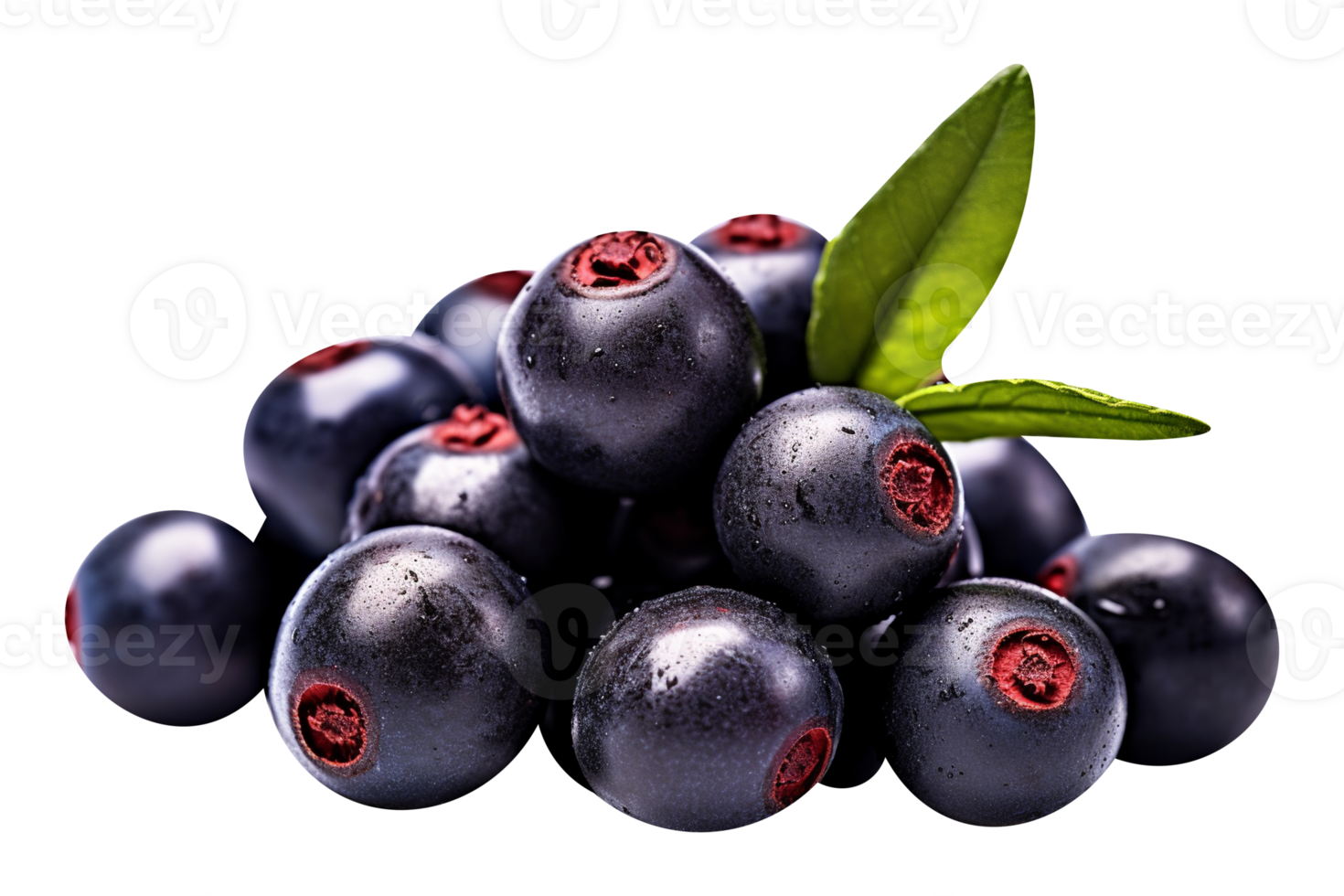 Fresh bunch acai berries isolated on transparent background png