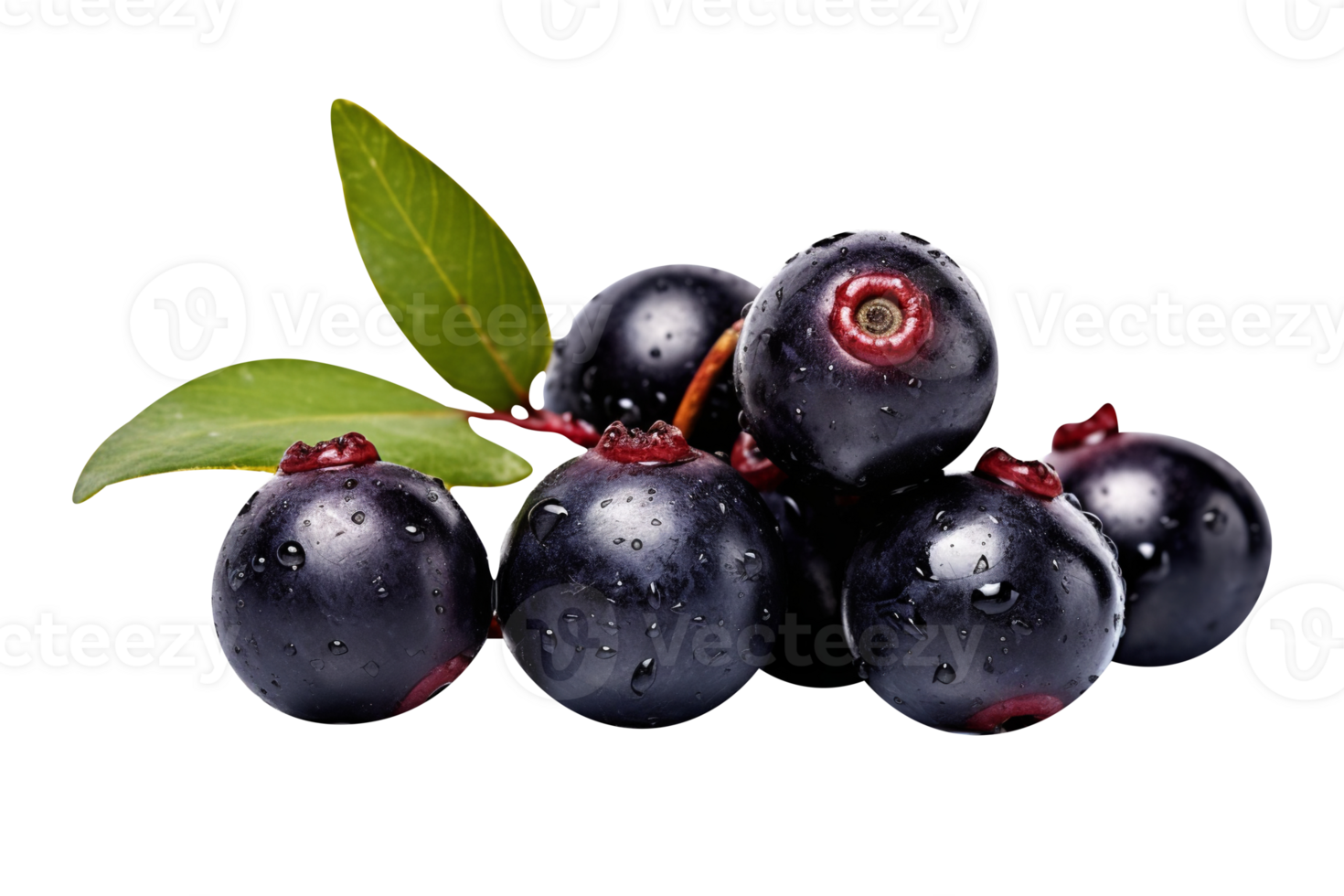 Fresh bunch acai berries isolated on transparent background png