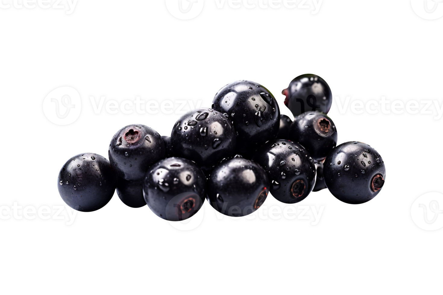 Bunch of fresh chokeberries isolated on transparent background png