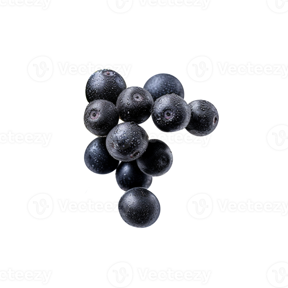 Bunch of fresh chokeberries isolated on transparent background png