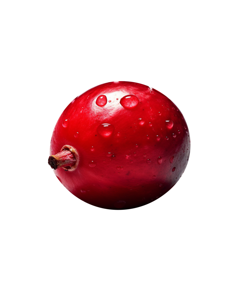 Fresh cranberry isolated on transparent background 27143700 PNG