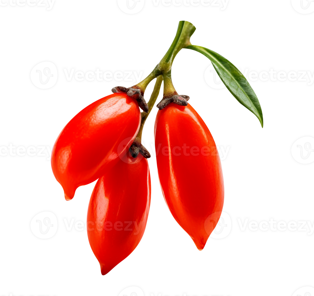 Fresh barberries isolated on transparent background png