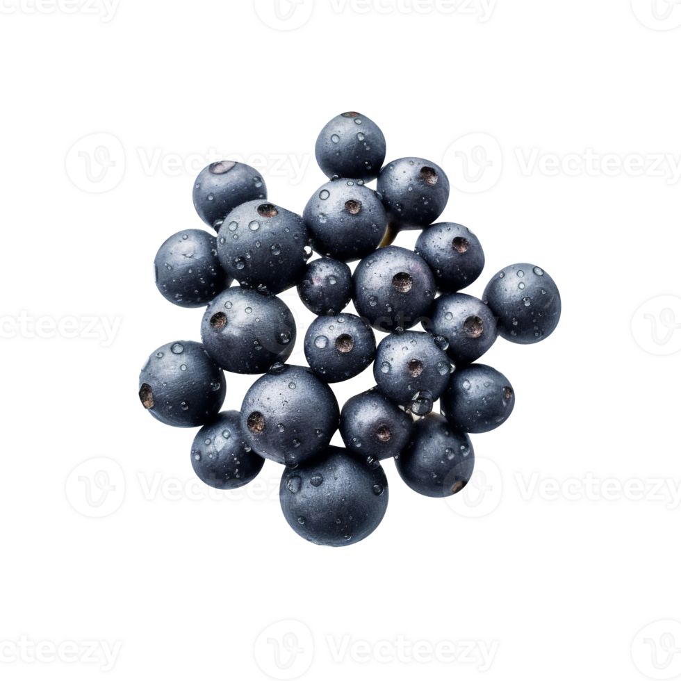 Bunch of fresh chokeberries isolated on transparent background png