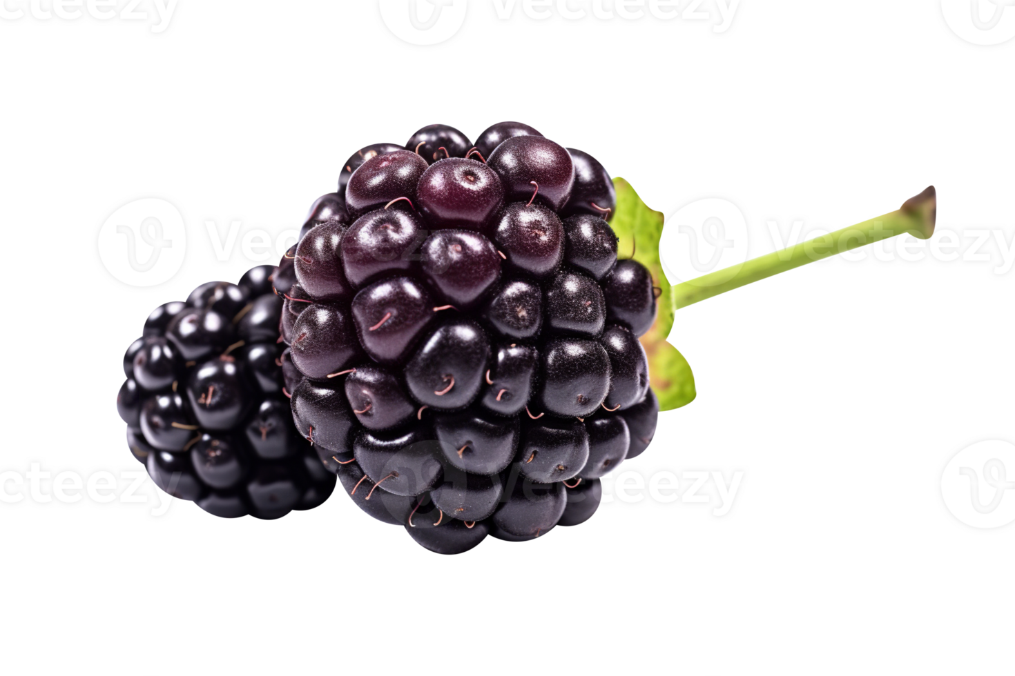 Fresh blackberry isolated on transparent background png