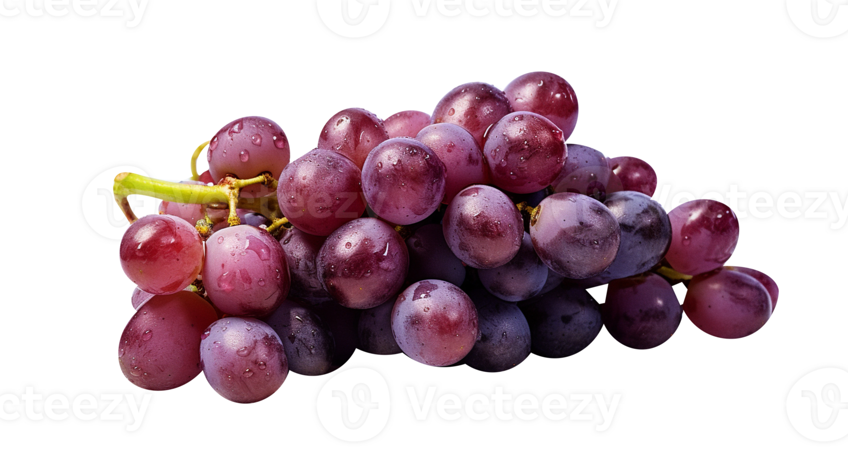 Fresh cluster of dark red grapes on transparent background png