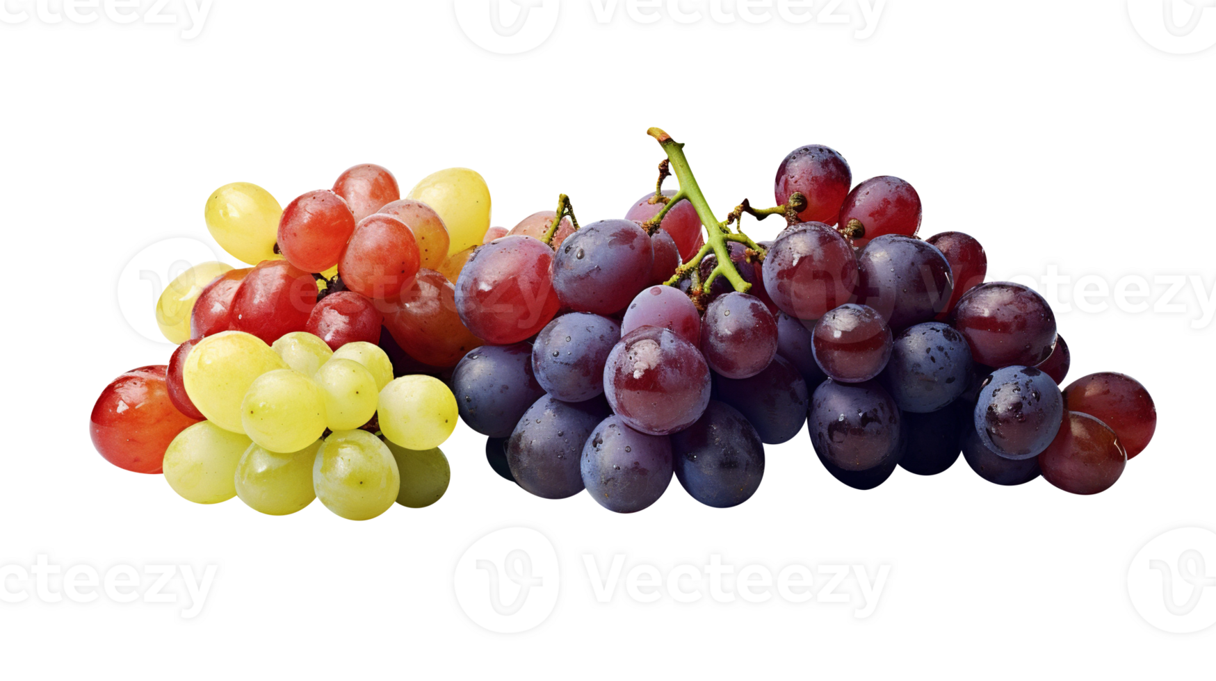Fresh cluster of dark red grapes on transparent background png