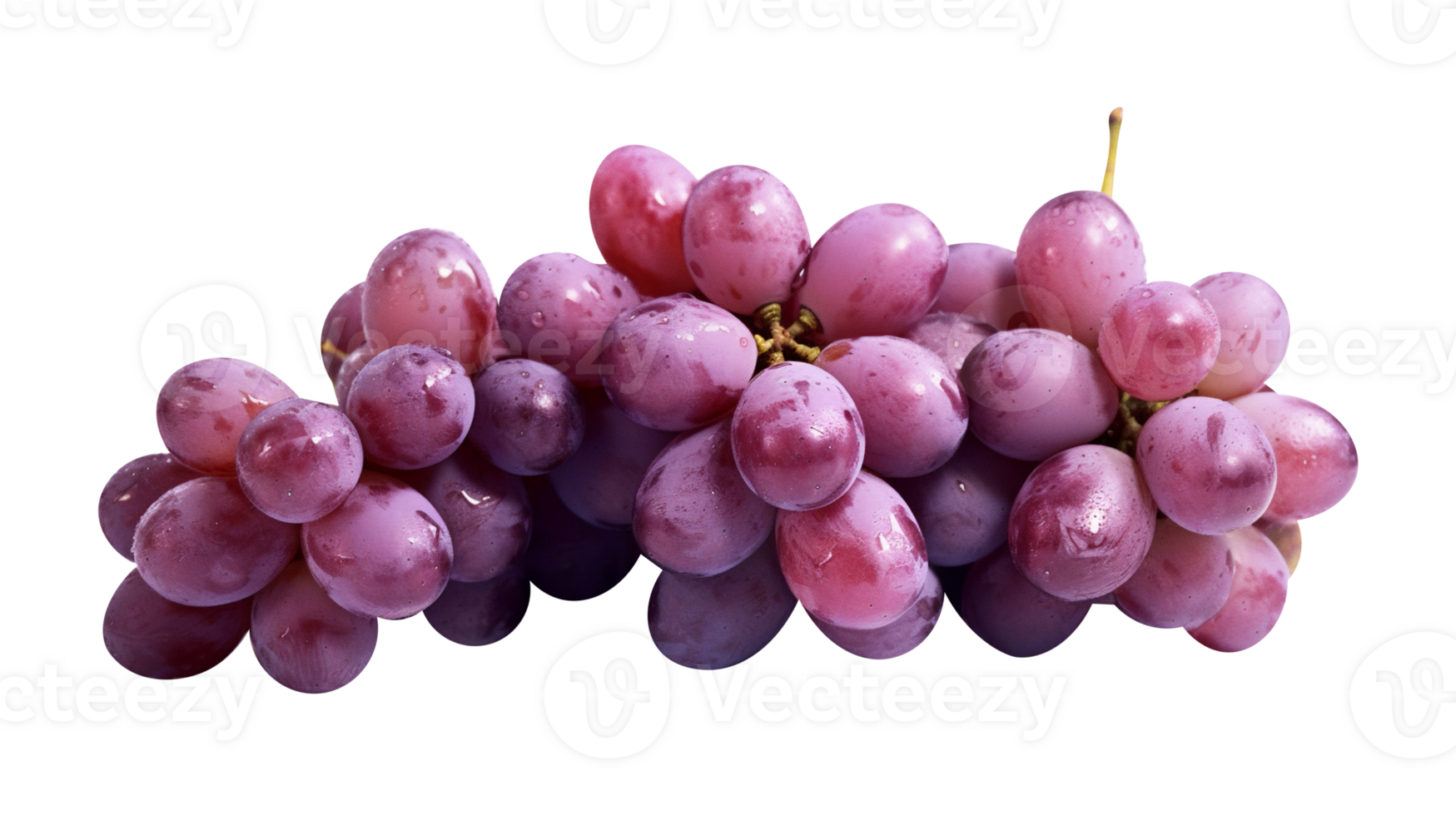 Fresh cluster of dark red grapes on transparent background png