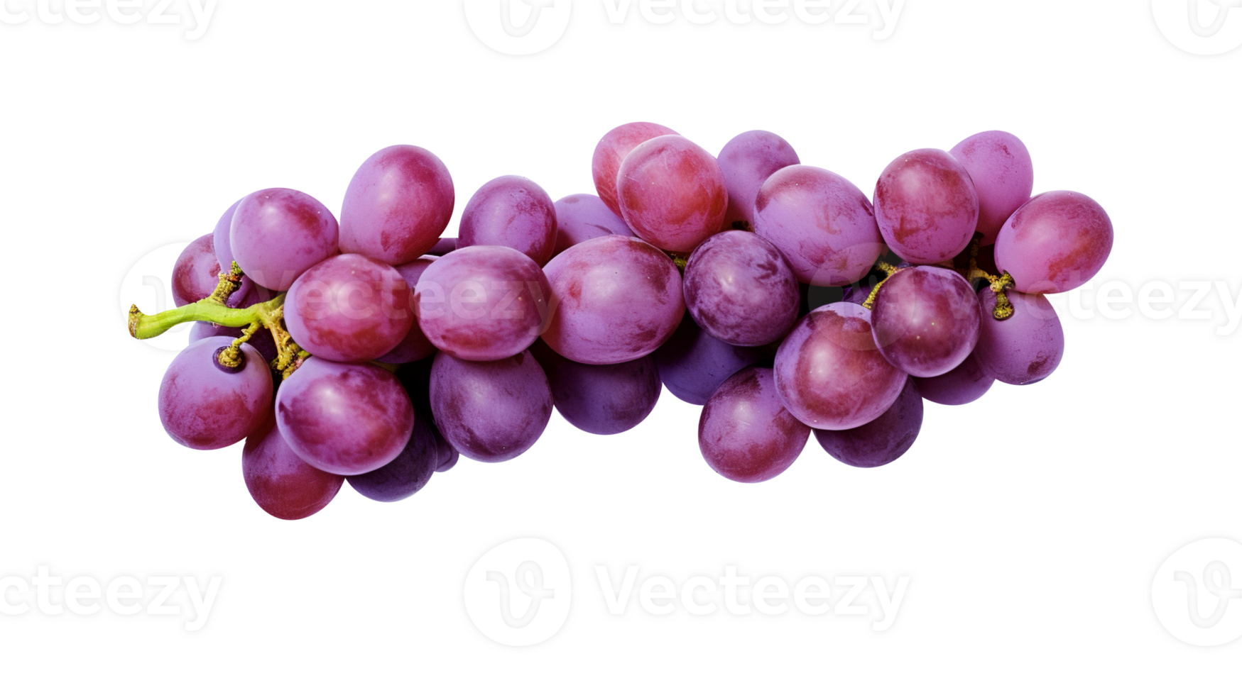 Fresh cluster of dark red grapes on transparent background png
