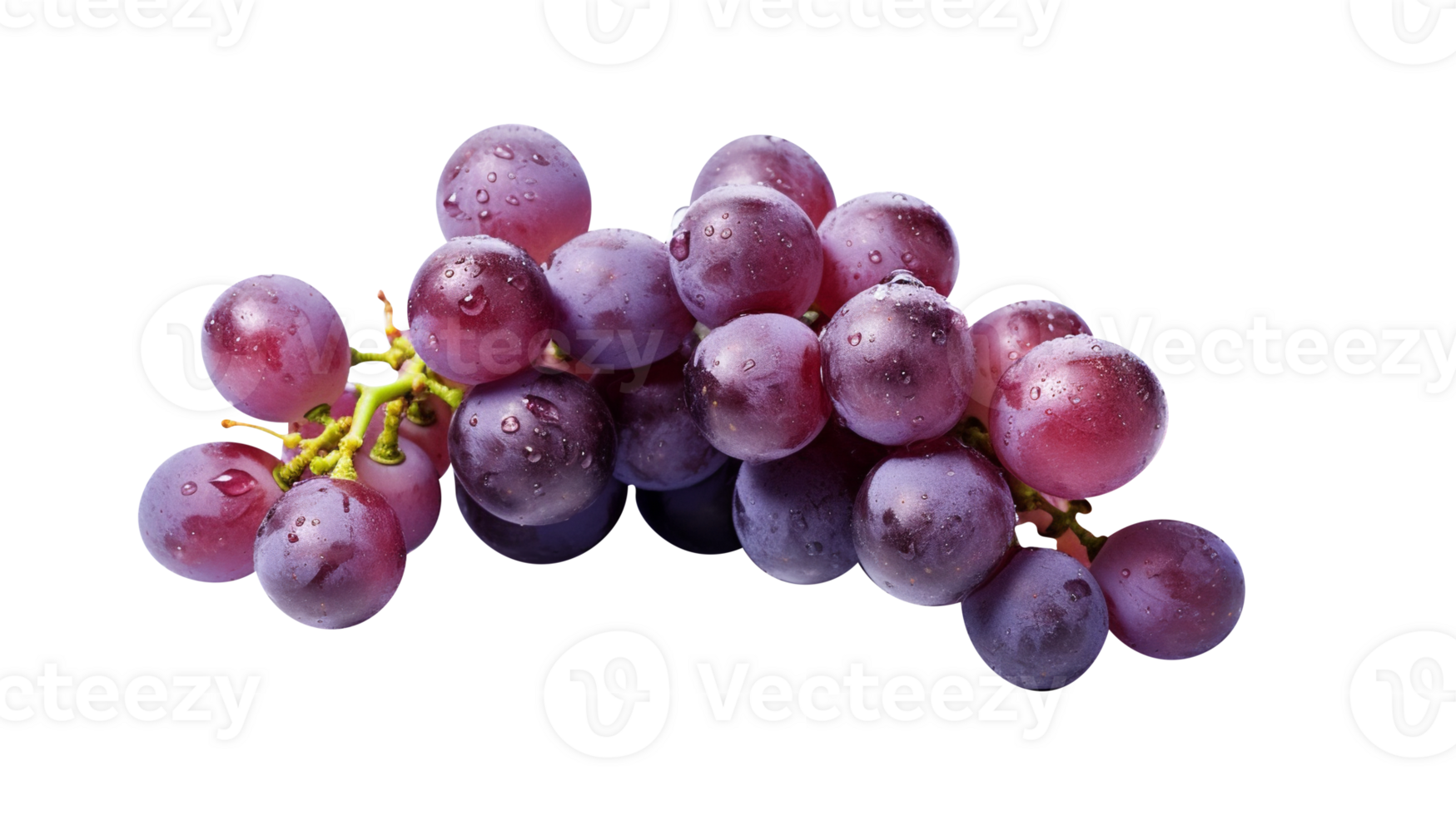 Fresh cluster of dark red grapes on transparent background png