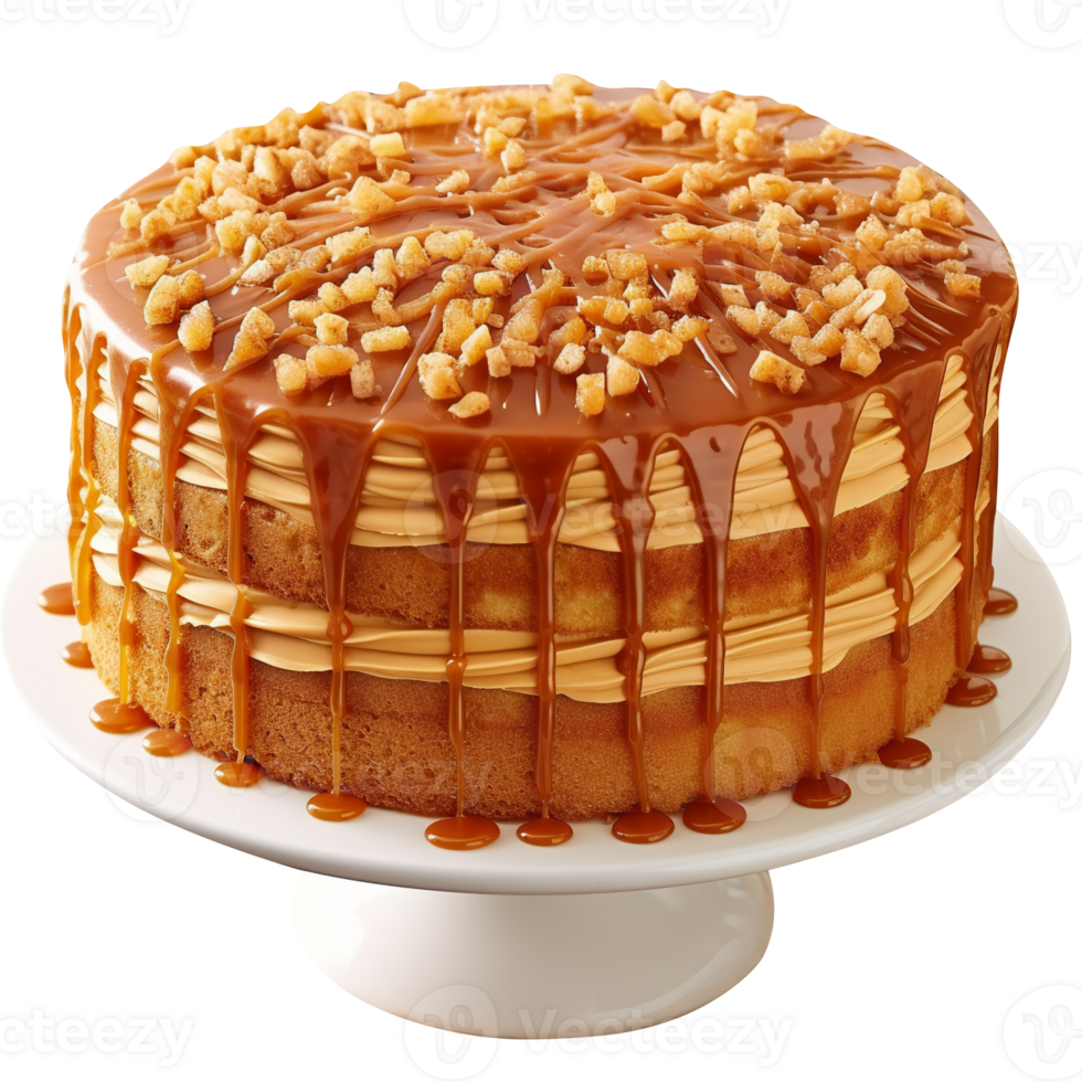 Tasty caramel glazed cake isolated on transparent background png