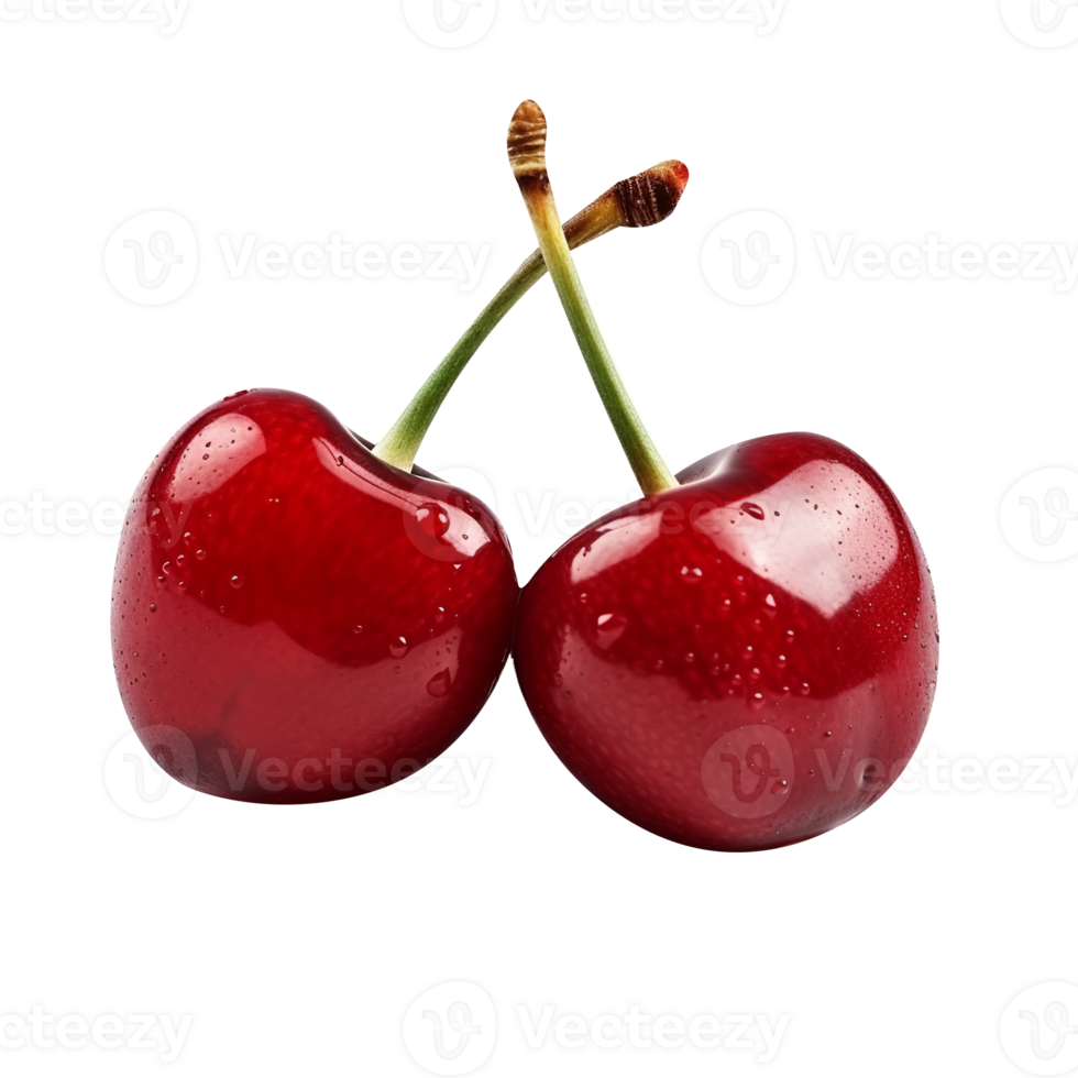 Fresh pair of cherries isolated on transparent background png