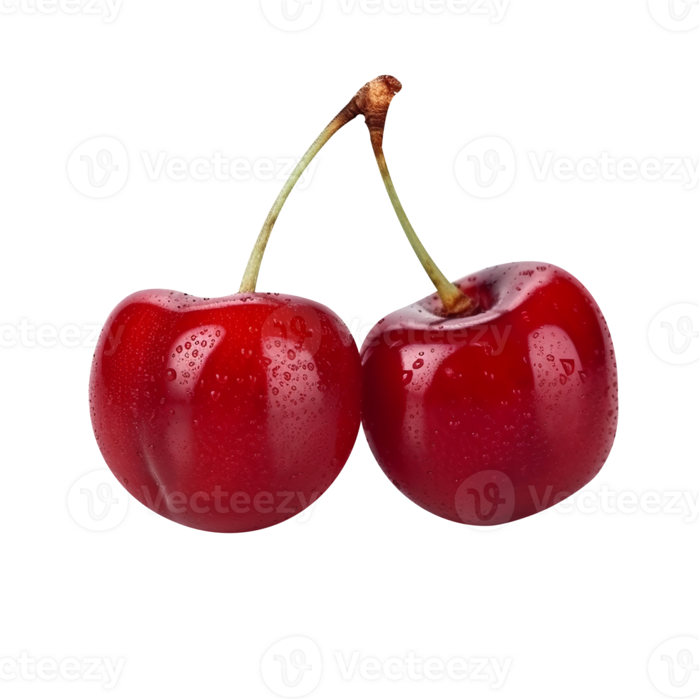 Fresh pair of cherries isolated on transparent background png