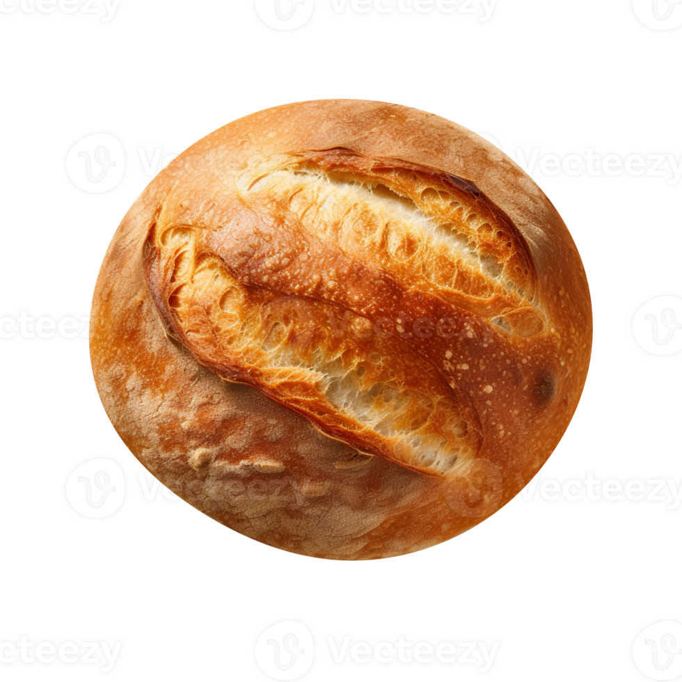 Freshly baked bread loaf on png background