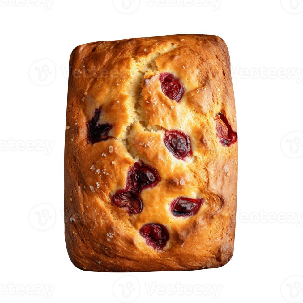 Freshly baked cranberry bread loaf on png background
