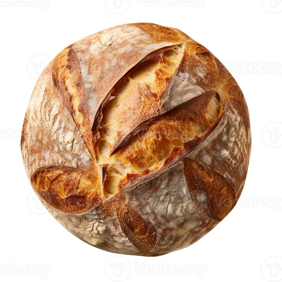Freshly baked bread loaf on png background