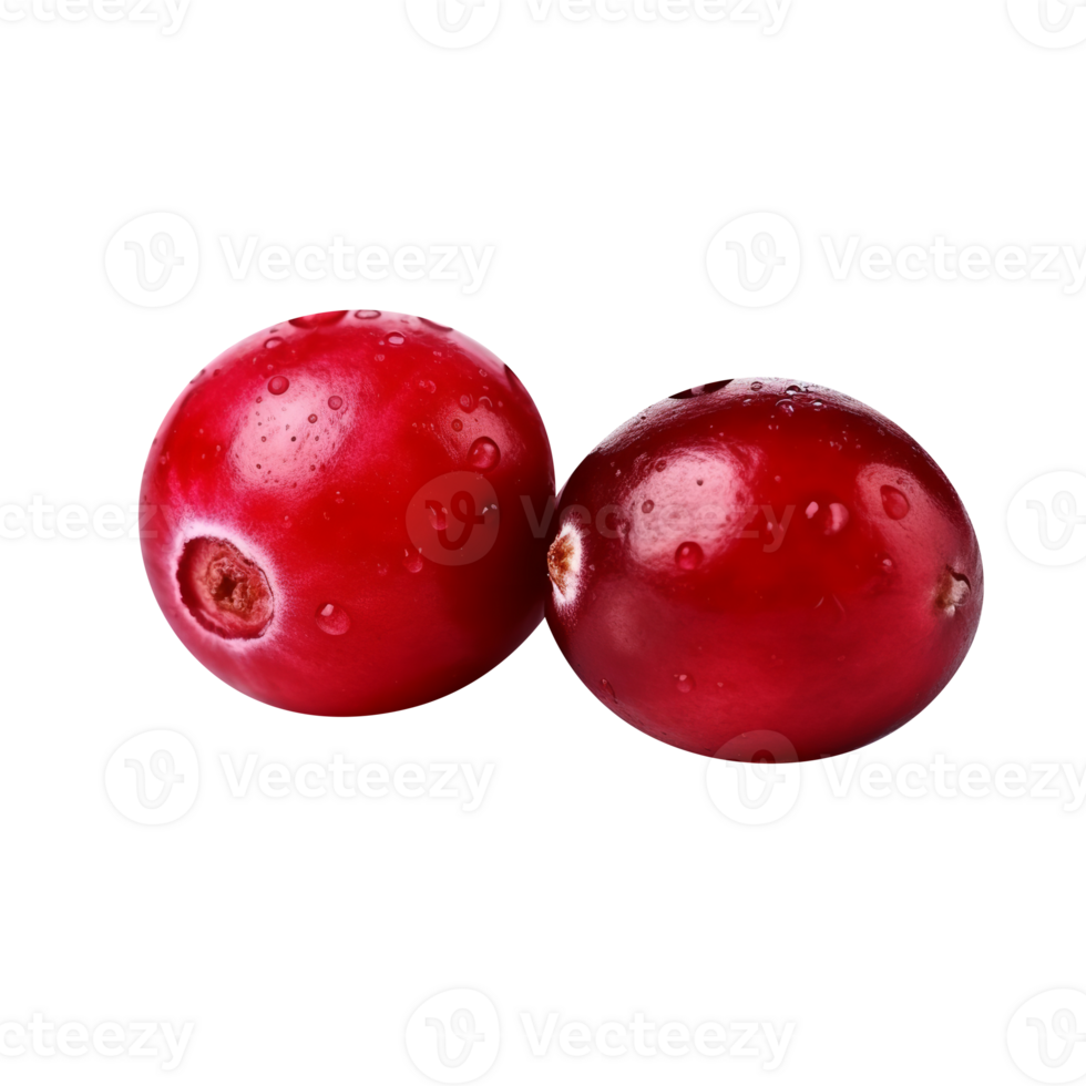 Fresh cranberry isolated on transparent background png