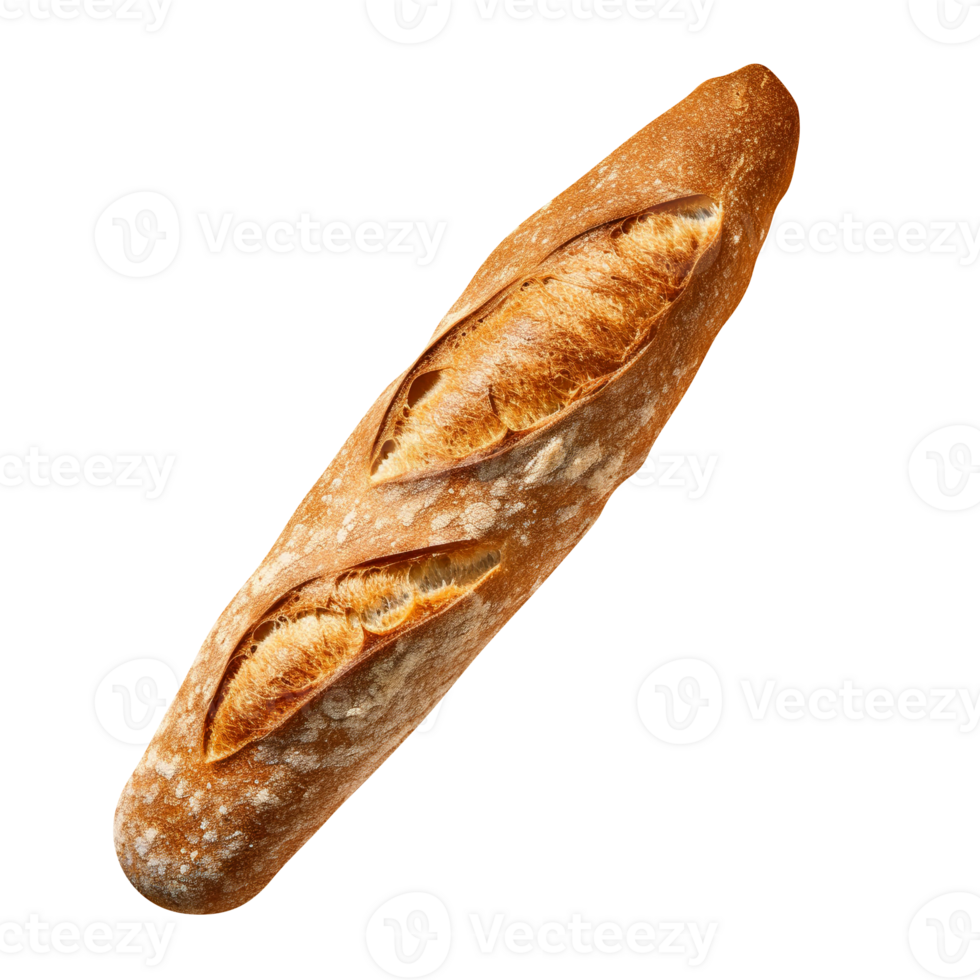 Freshly baked long bread loaf isolated on transparent background png