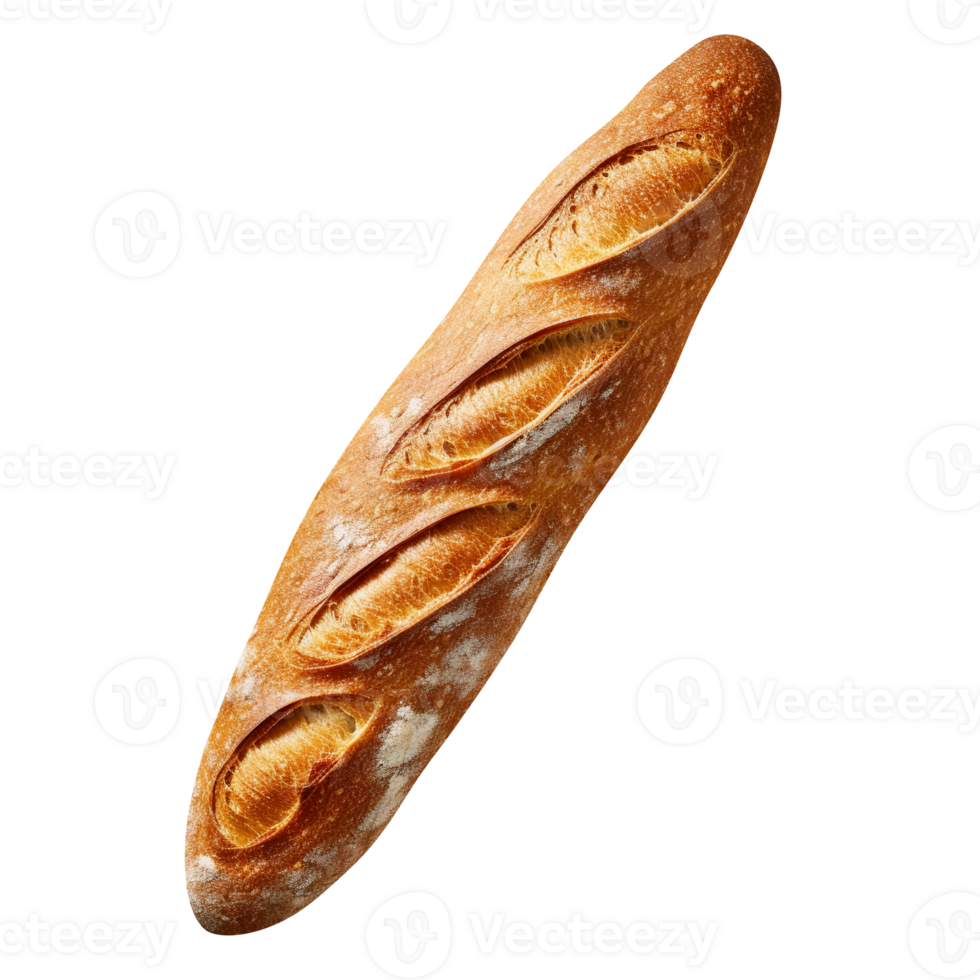 Freshly baked long bread loaf isolated on transparent background png