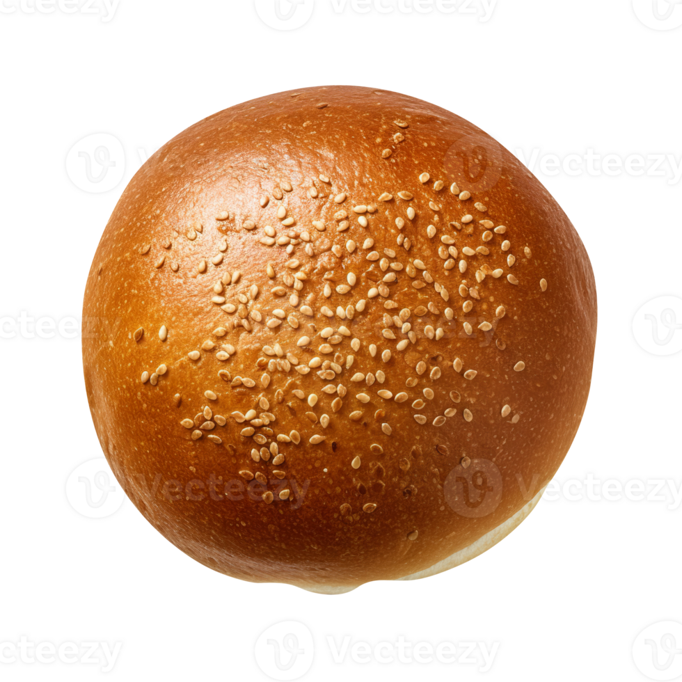 Freshly baked burger bun isolated on transparent background png