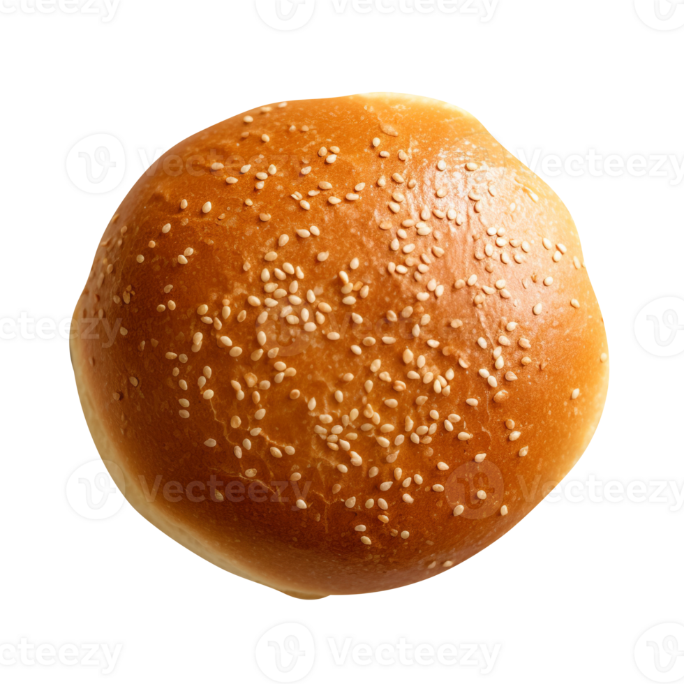 Freshly baked burger bun isolated on transparent background png