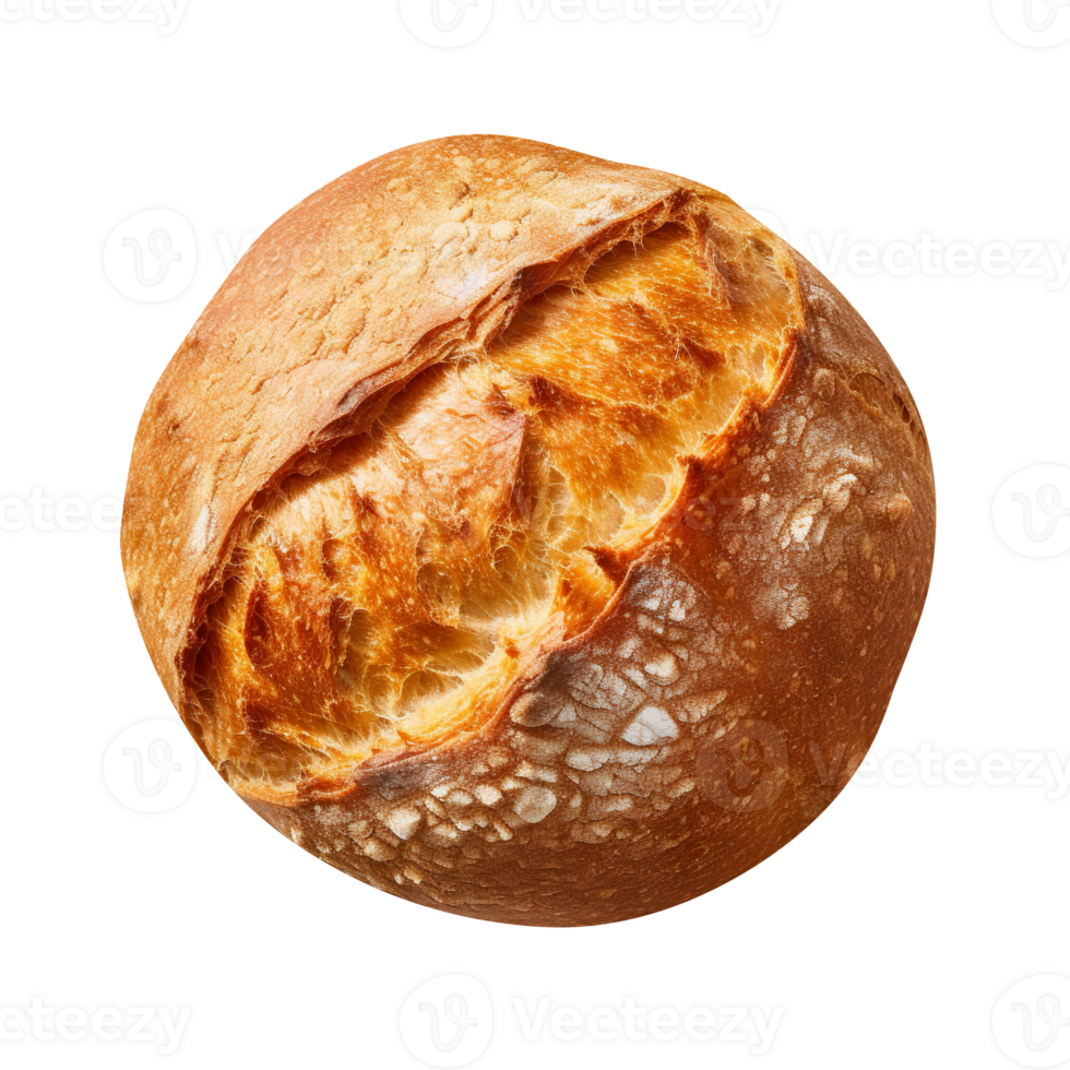 Freshly baked round bread loaf isolated on transparent background png