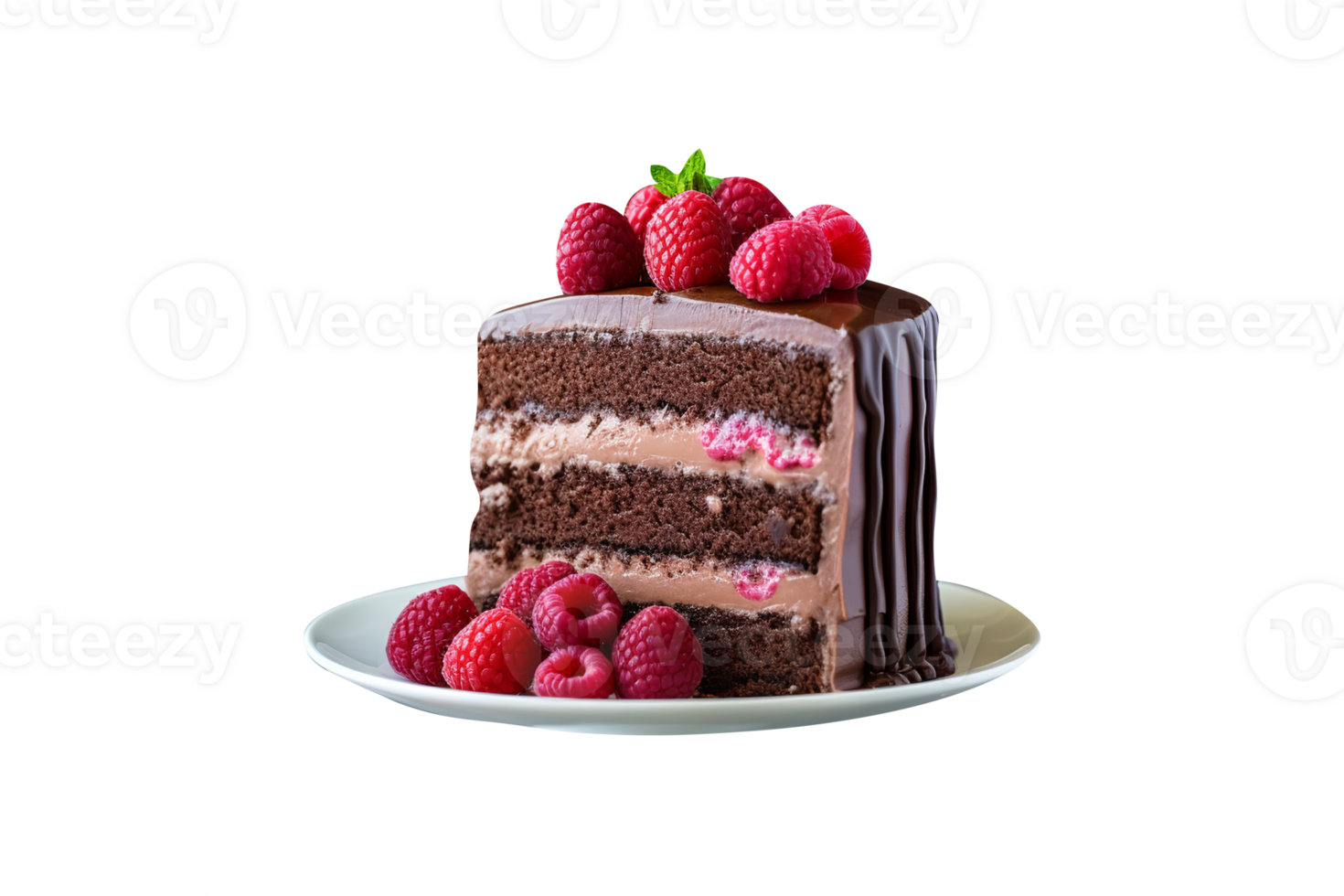 Delicious chocolate cake slice with chocolate icing and raspberries on transparent background png