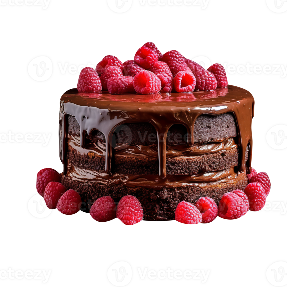 Delicious chocolate cake with chocolate icing and raspberries on transparent background png