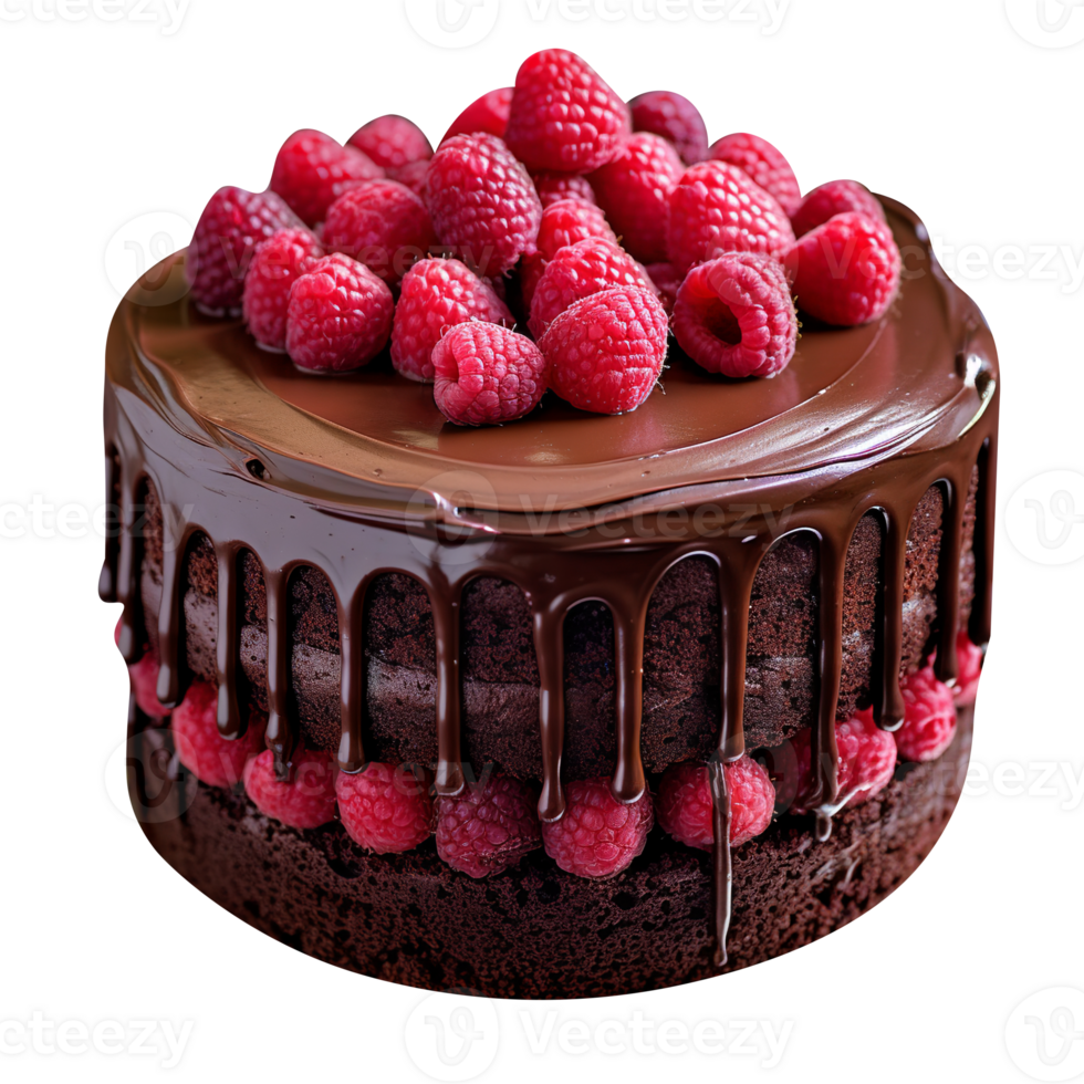 Delicious chocolate cake with chocolate icing and raspberries on transparent background png