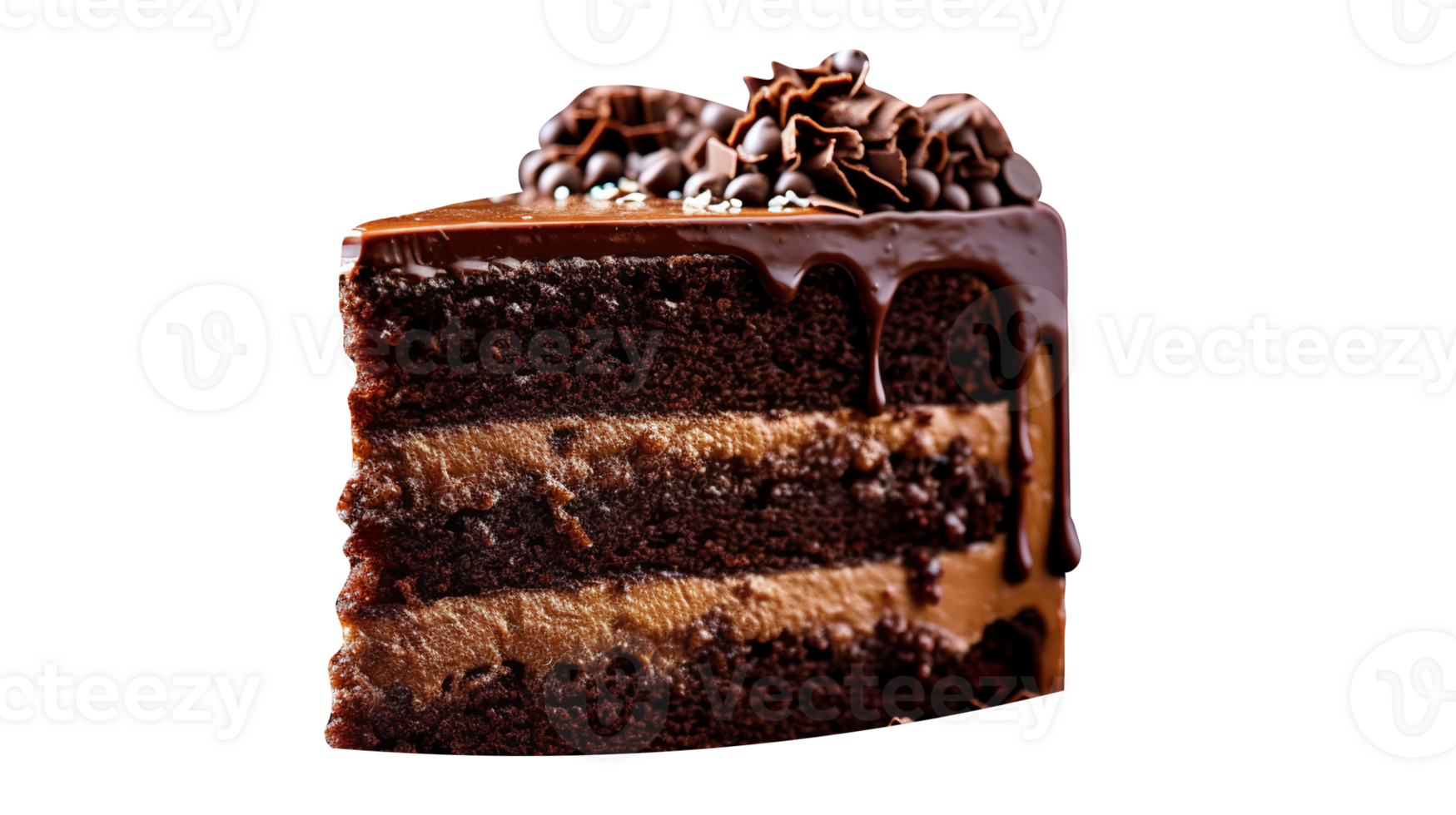 Slice of tasty homemade chocolate cake on transparent background png