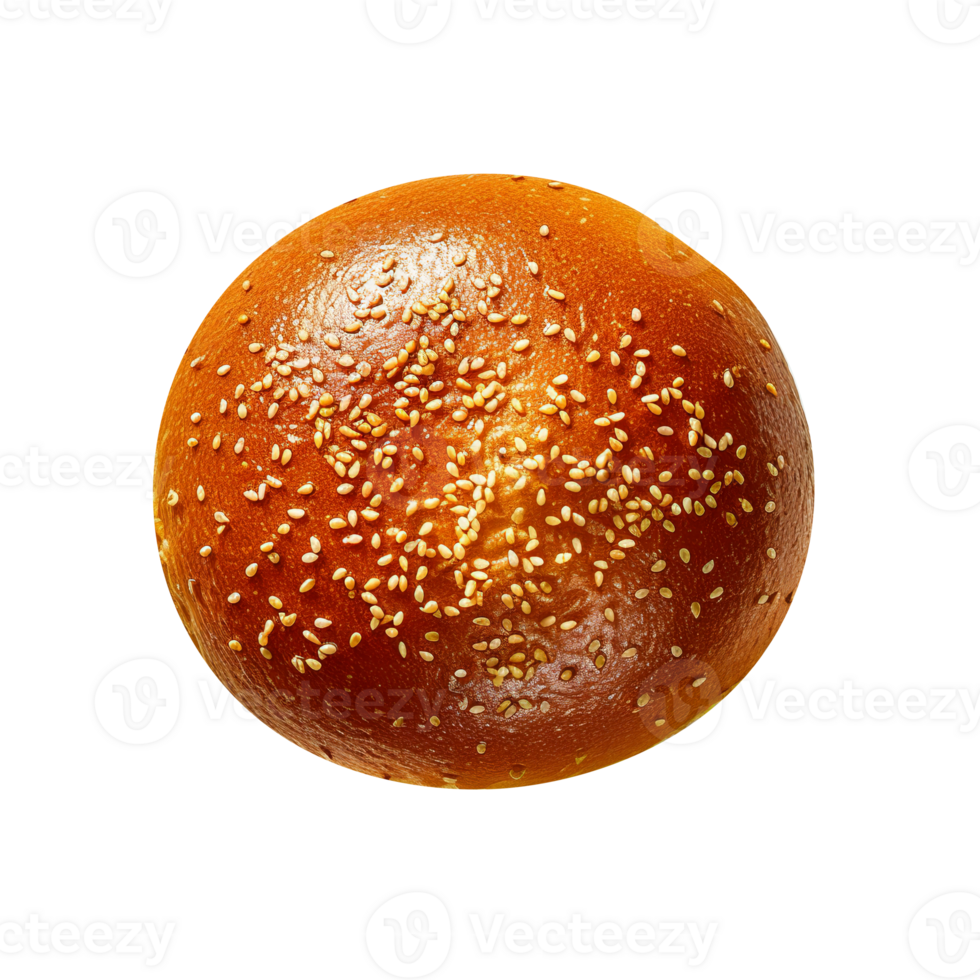 Freshly baked burger bun isolated on transparent background png