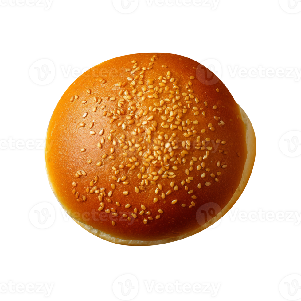 Freshly baked burger bun isolated on transparent background png