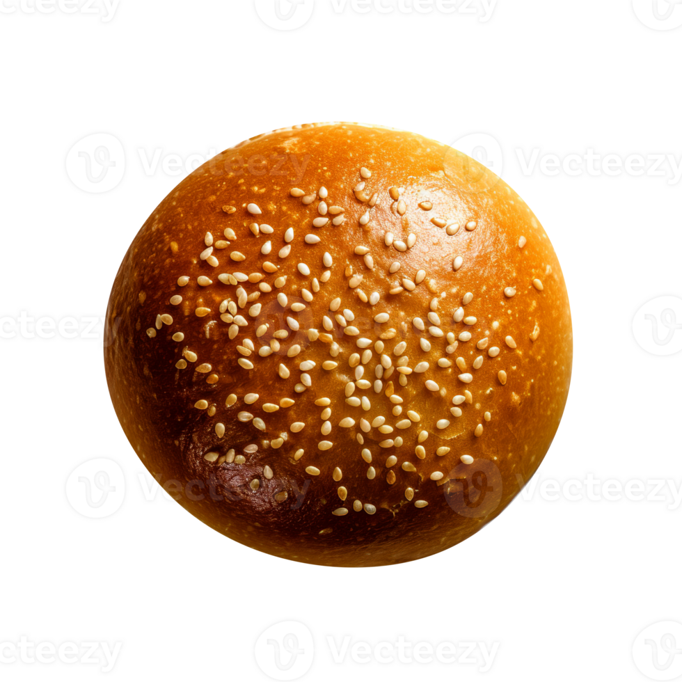 Freshly baked burger bun isolated on transparent background png