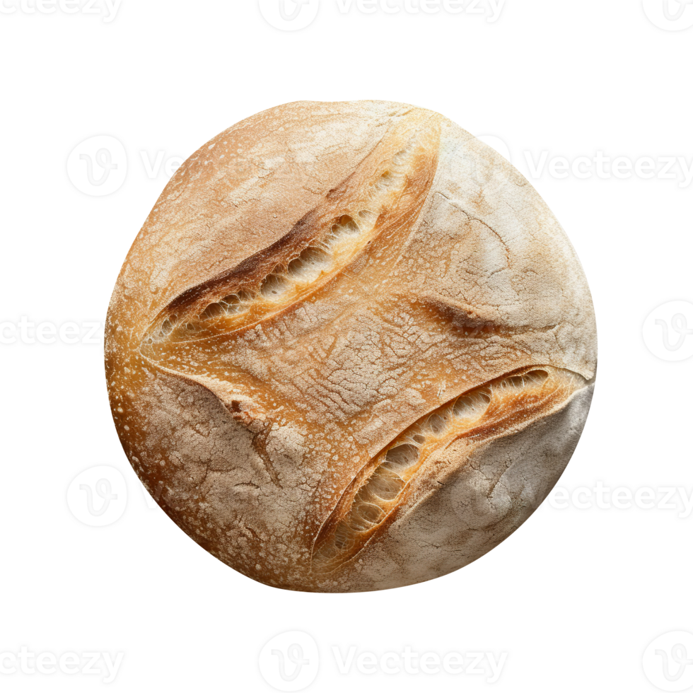 Whole round loaf of fresh baked sourd bread on transparent background png