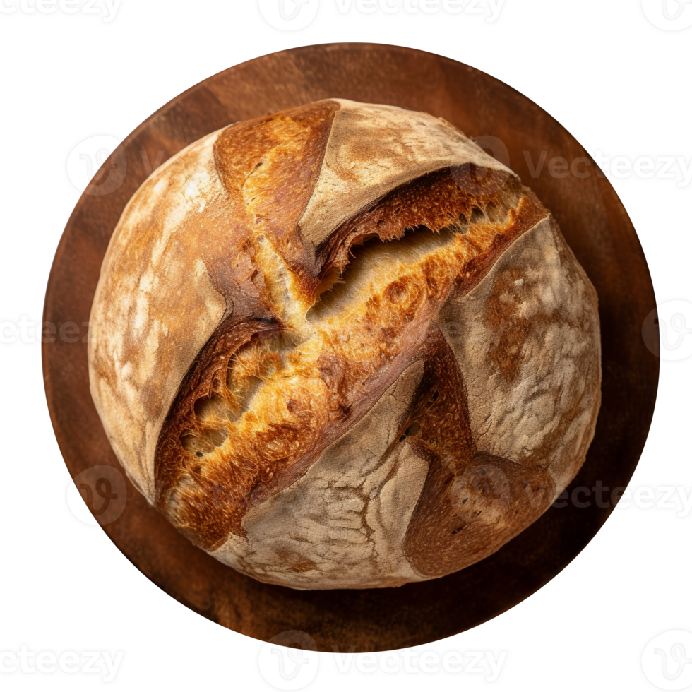 Freshly baked round whole grain bread loaf isolated on transparent background png
