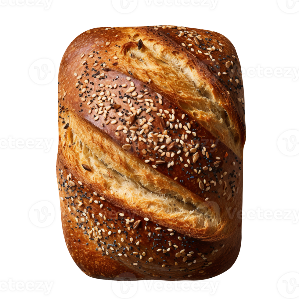 Freshly baked bread loaf isolated on transparent background png