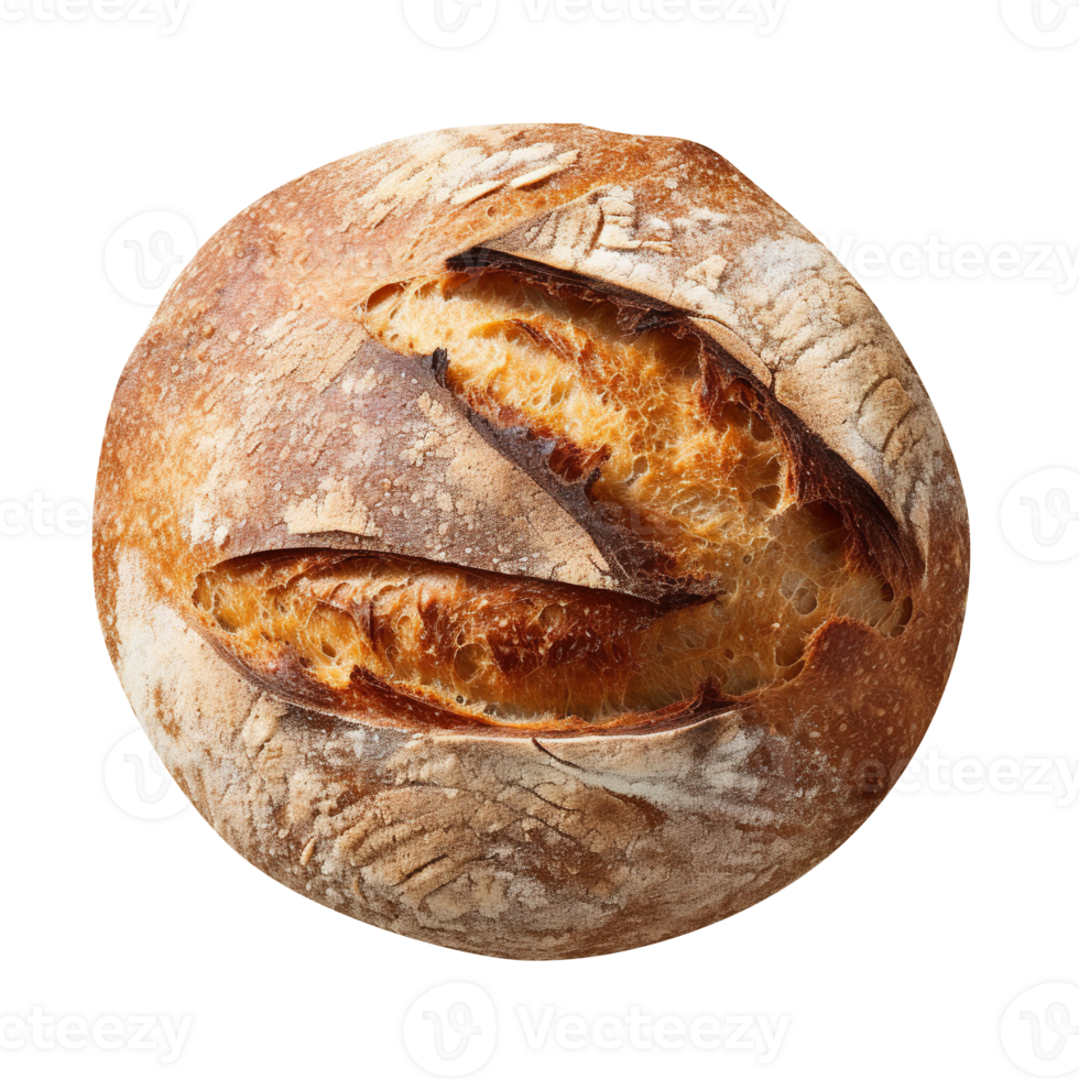 Whole round loaf of fresh baked sourd bread on transparent background png