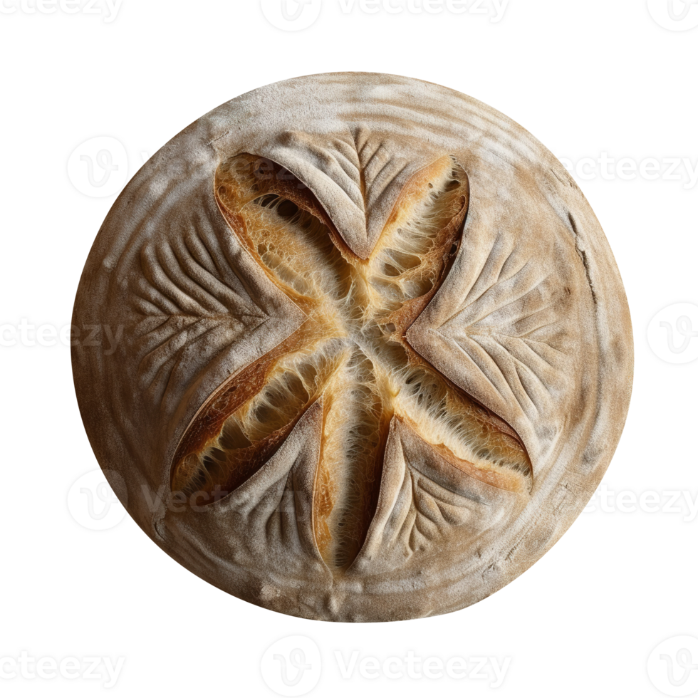 Whole round loaf of fresh baked sourd bread on transparent background png