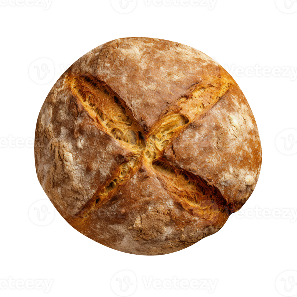 Freshly baked round whole grain bread loaf isolated on transparent background png