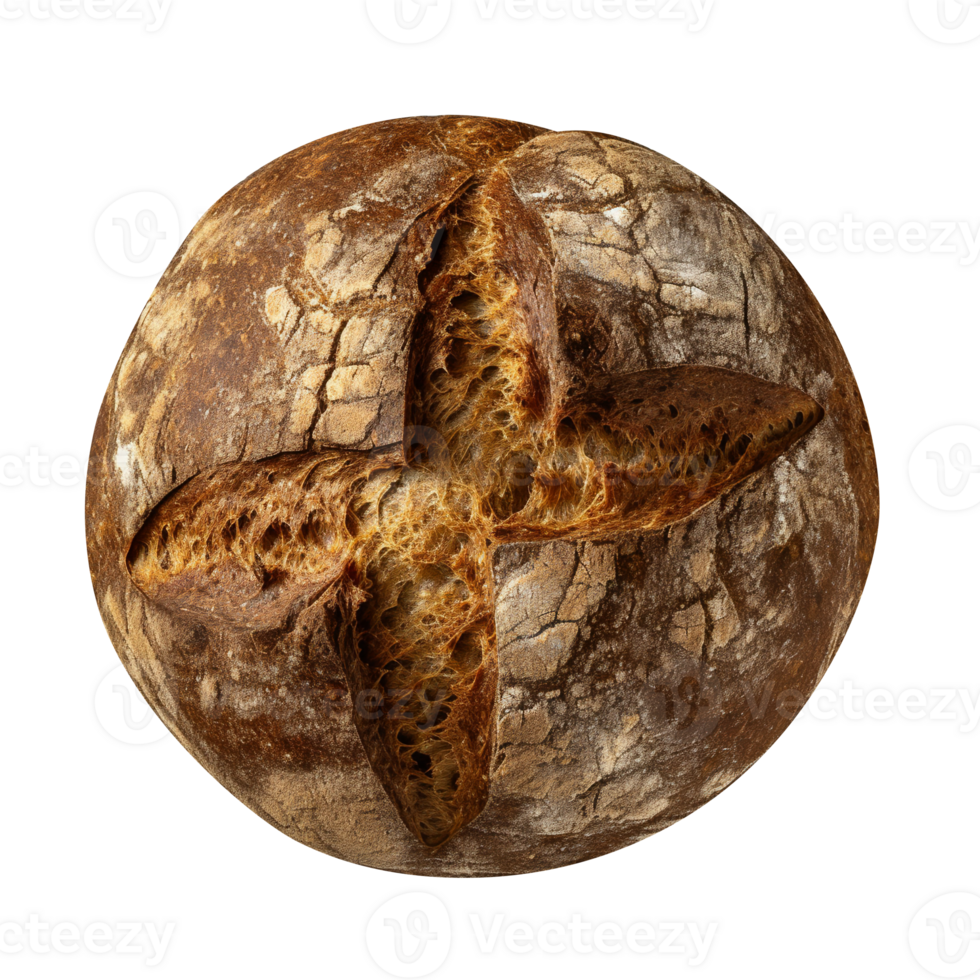 Whole round loaf of fresh baked rye wheat bread on transparent background png