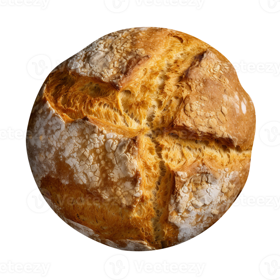 Whole round loaf of fresh baked rye wheat bread on transparent background png