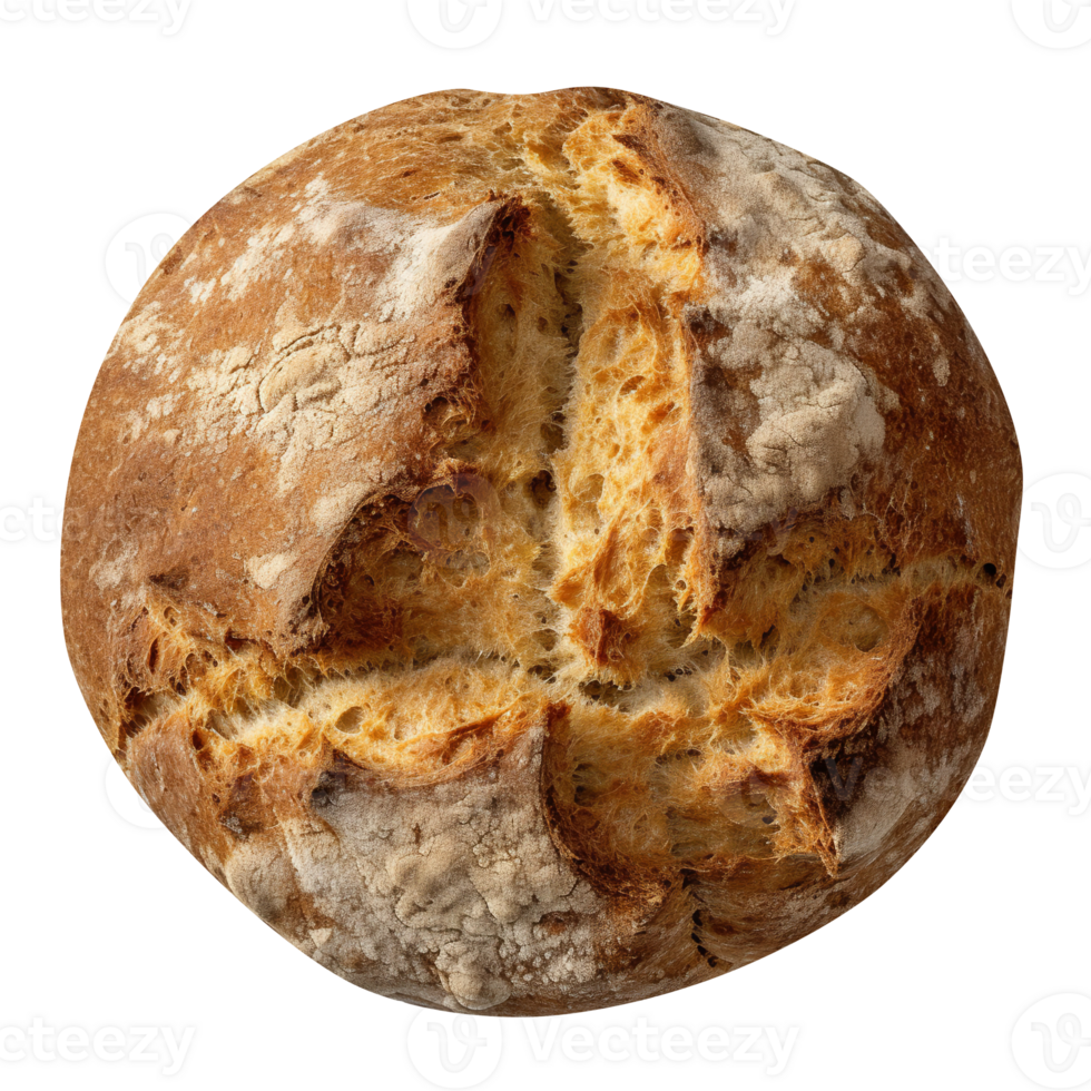 Whole round loaf of fresh baked rye wheat bread on transparent background png