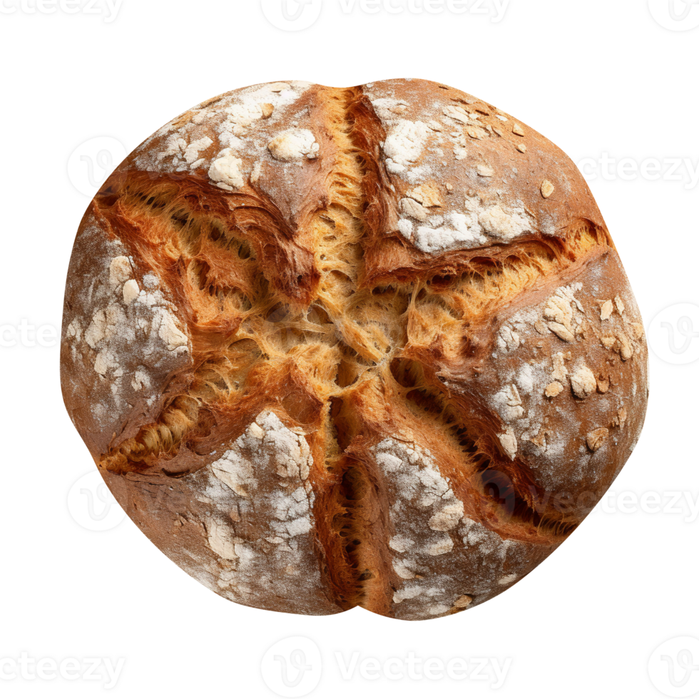 Whole round loaf of fresh baked rye wheat bread on transparent background png