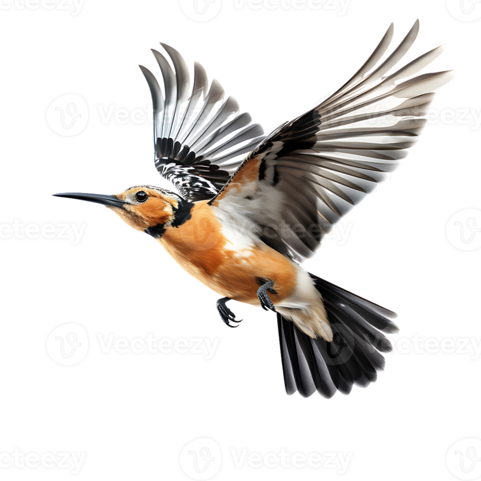 eurasisch Wiedehopf Vogel auf transparent Hintergrund. ai generiert png