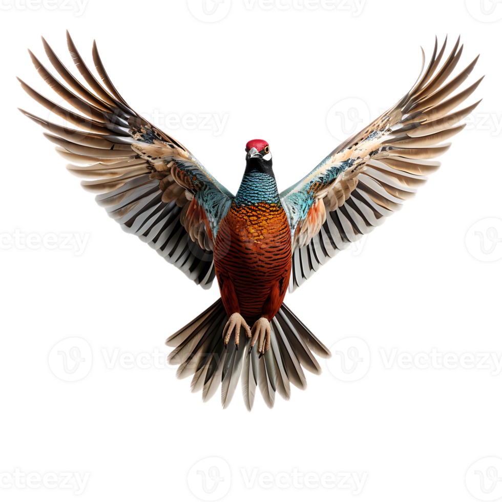 Beautiful pheasant bird on transparent background. ai generated png