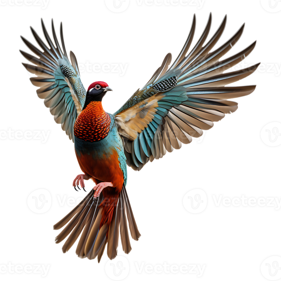 Beautiful pheasant bird on transparent background. ai generated png