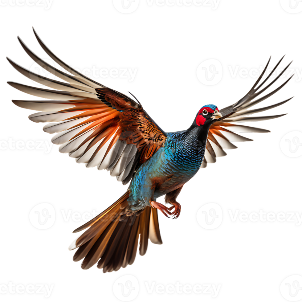 Beautiful pheasant bird on transparent background. ai generated png