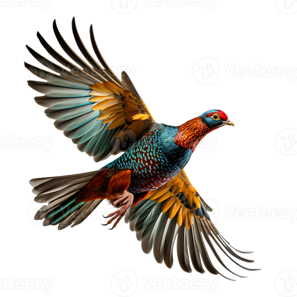 Beautiful pheasant bird on transparent background. ai generated png