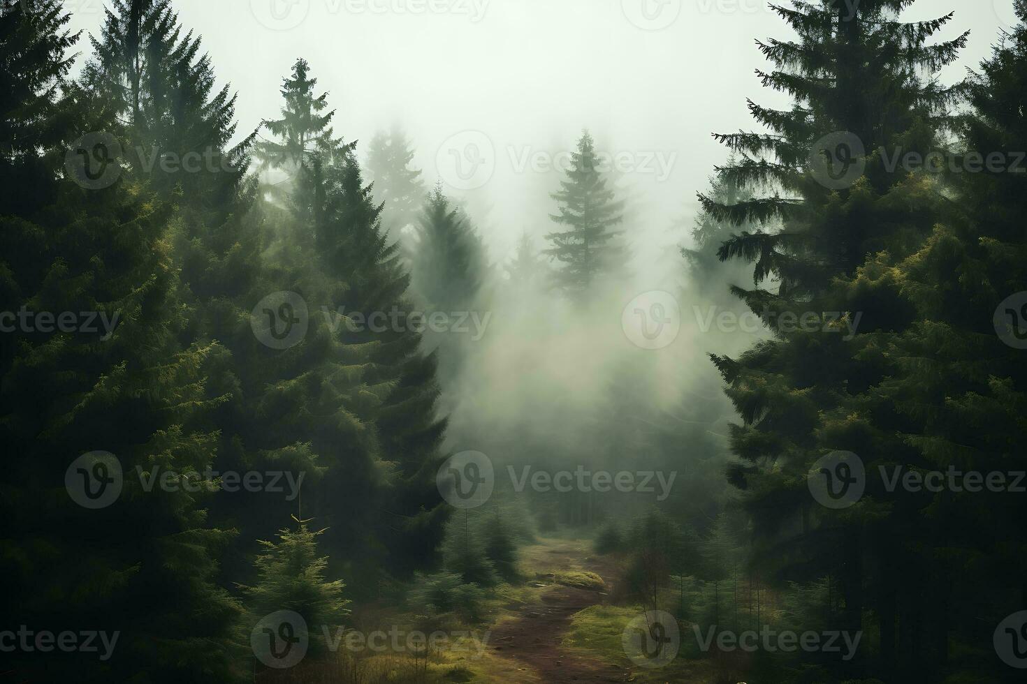 Trees next to each other in the Forest in mist. AI Generated. photo